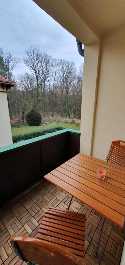 Maisonettewohnung In Elbnaehe Drezda Kültér fotó